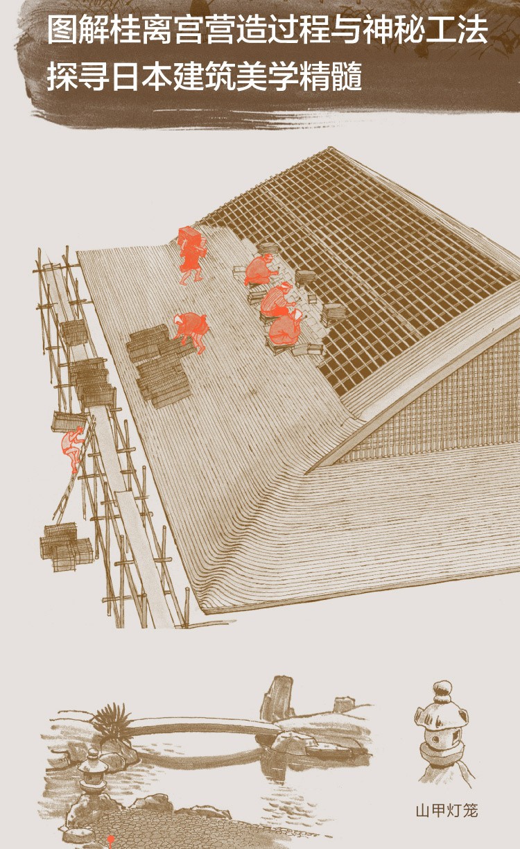 1645499412179211.jpg