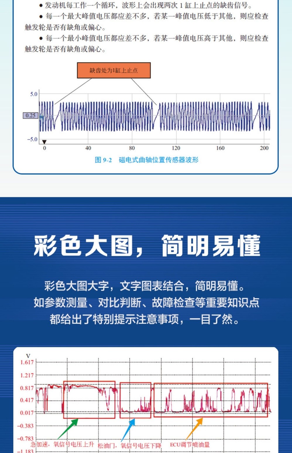 1701664513997827.jpg