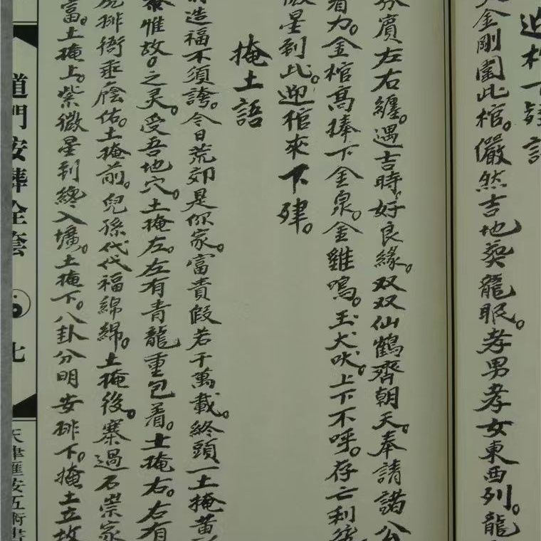 1718025663784475.jpg