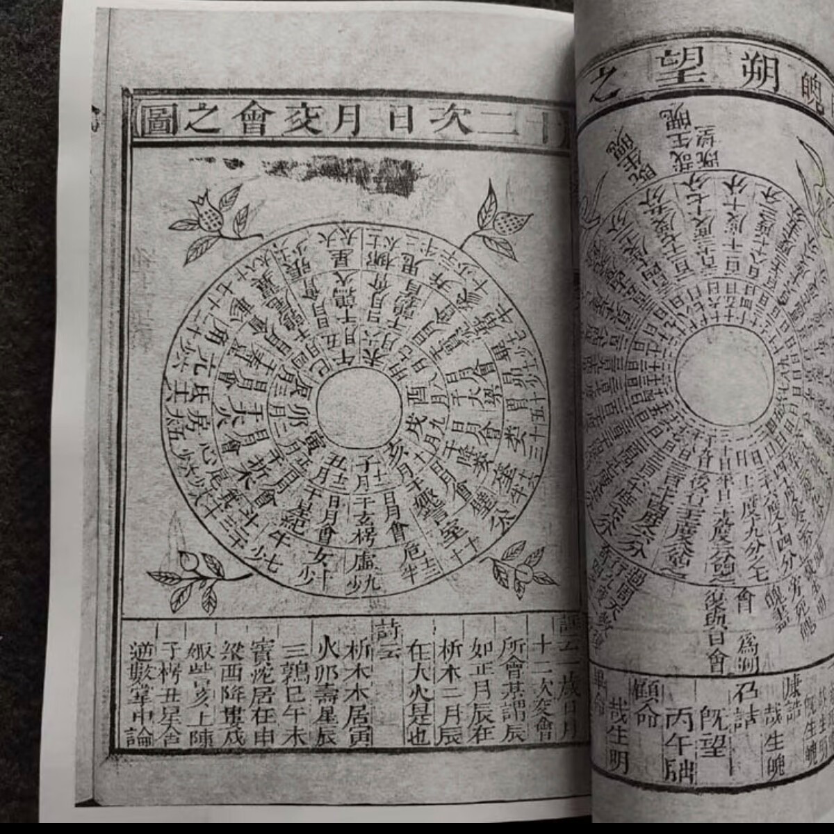 1724337676949908.jpg