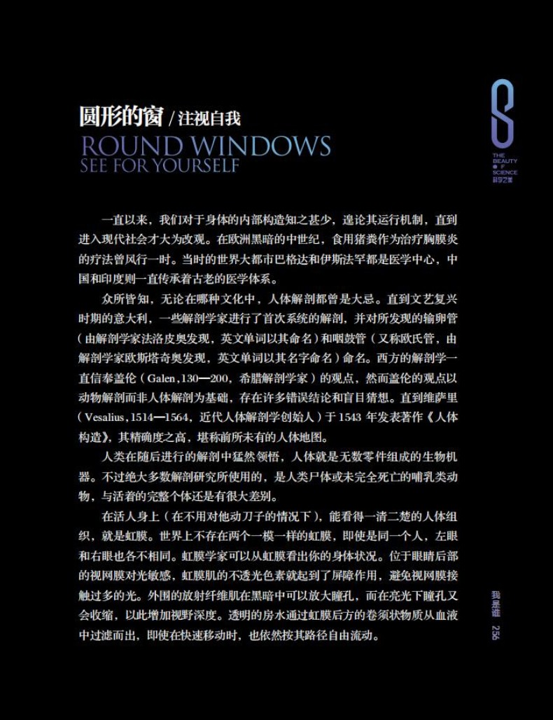 1740456412688333.jpg