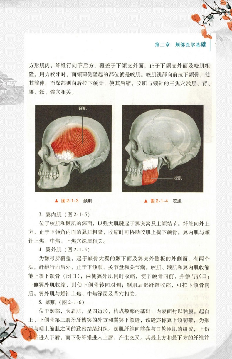 1743833101735823.jpg