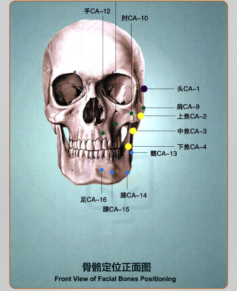 1743833106130986.jpg