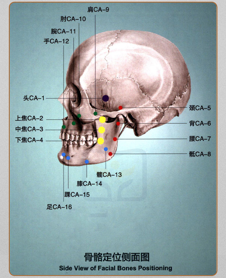 1743833106841842.jpg